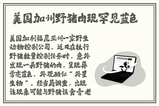 爱快播